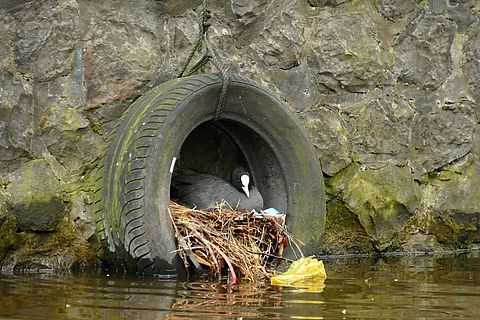 Mikroplastik im Abwasser